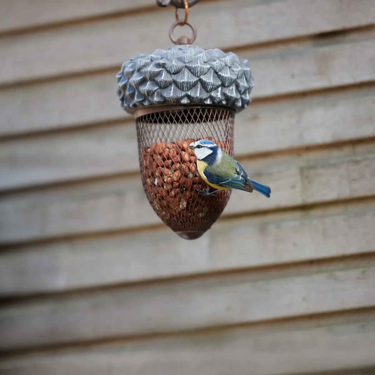 Common Garden Bird Feeding Mistakes That Harm UK Wildlife (and How to Fix Them)