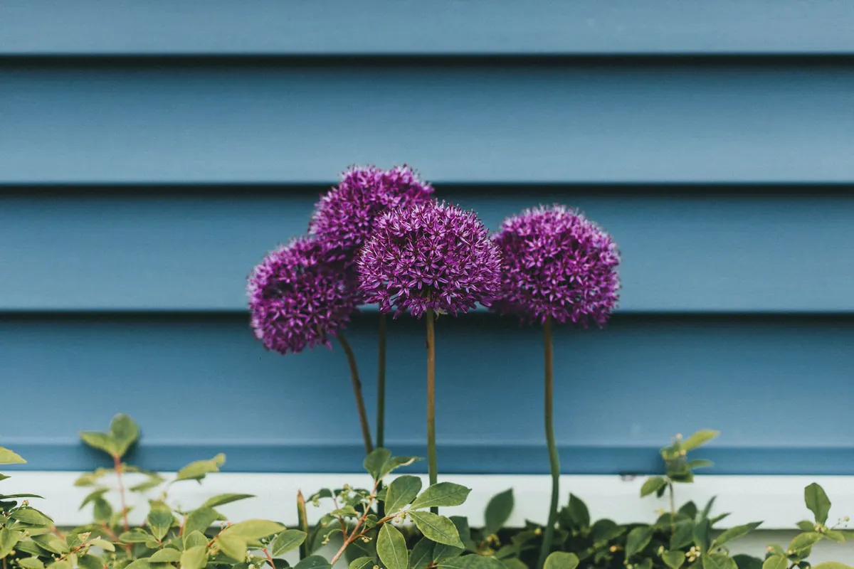 Designing a Wildlife-Friendly Border: Layering Plants for Year-Round Habitat