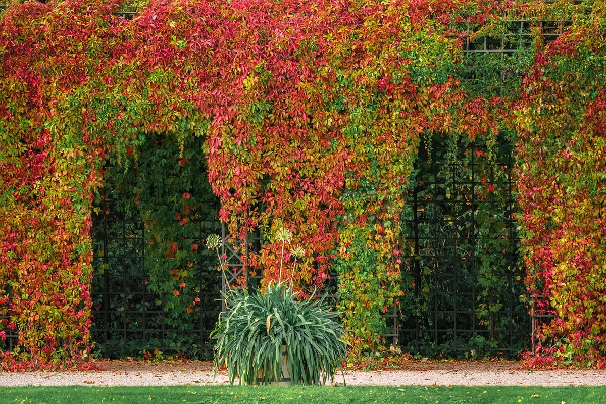 Wildlife Overwintering Checklist: 10 Garden Jobs for Autumn and Winter